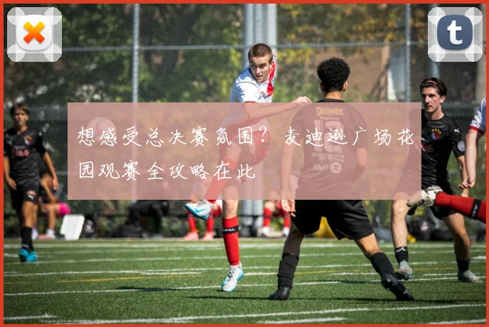 想感受总决赛氛围?麦迪逊广场花园观赛全攻略在此