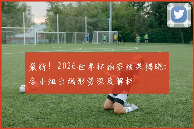 最新！2026世界杯抽签结果揭晓：各小组出线形势深度解析