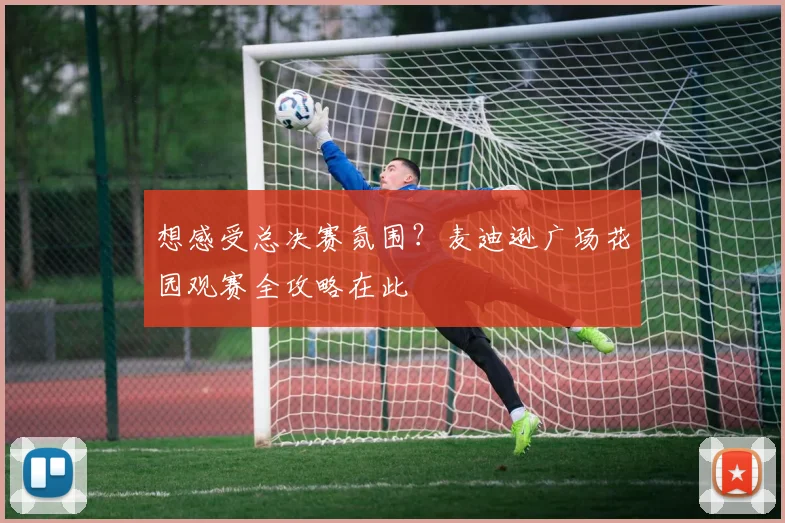 想感受总决赛氛围?麦迪逊广场花园观赛全攻略在此